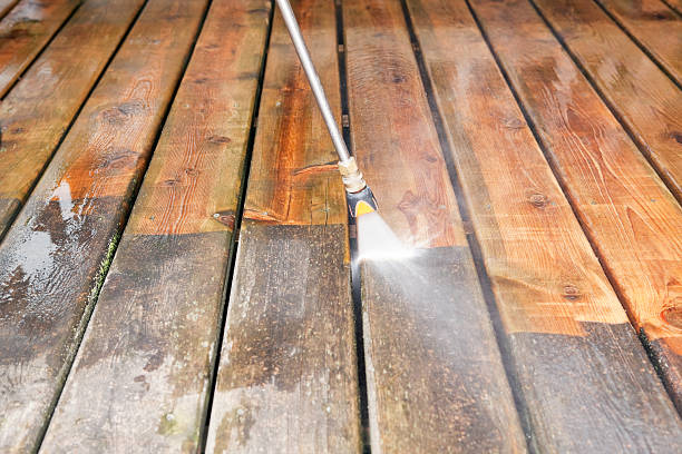 Best House Exterior Washing  in Northdale, FL